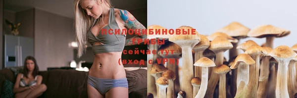 каннабис Арсеньев