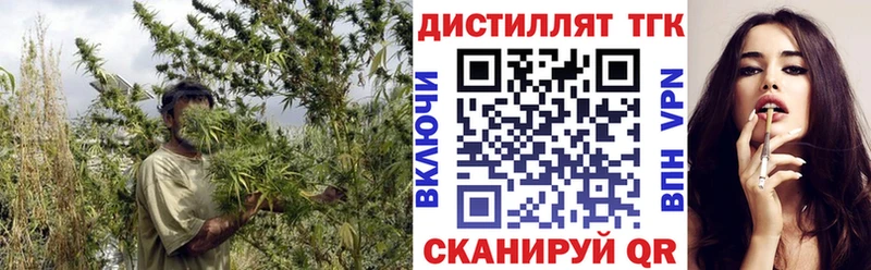 цена   Белая Холуница  Дистиллят ТГК концентрат 