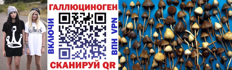 Псилоцибиновые грибы Psilocybine cubensis Белая Холуница